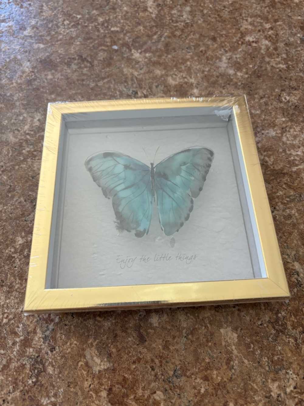 Framed Blue Butterfly Picture Box
